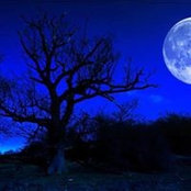 Alicia Ottley's photo