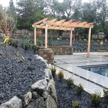 Modern Channeled Conceret with plants inbetween