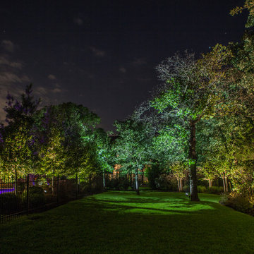 Low Voltage Up Lighting and Moon Lighting- Southlake