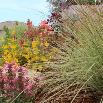 Arresting Dunes - Coastal Gem Garden