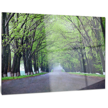 "Arched Trees Over Country Road" Landscape Photo Glossy Metal Wall Art, 28"x12"