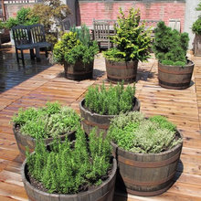Rooftop Deck
