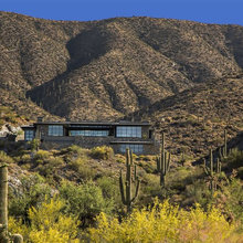 Modern Desert Mansion Single Level