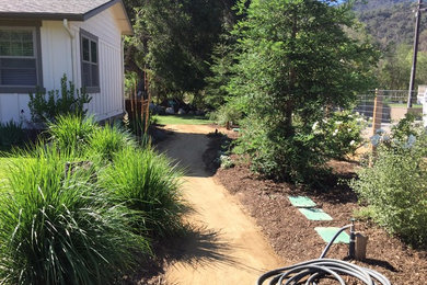 Photo of a mid-sized farmhouse landscaping in Santa Barbara.