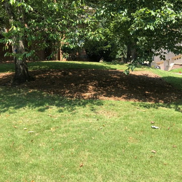 Dry Riverbed/Drainage/Mossrock Accent Walls/Low Voltage Lighting