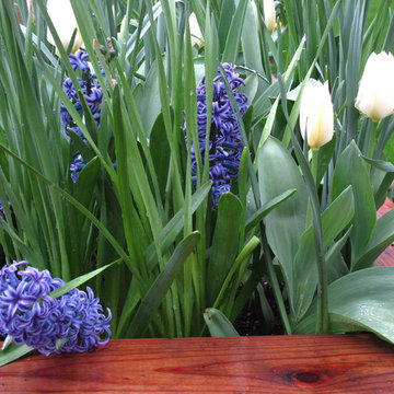 West St. Helena Small Yard