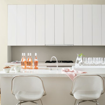 Color Trends 2015 - Halo OC-46, Silver Fox 2108-50