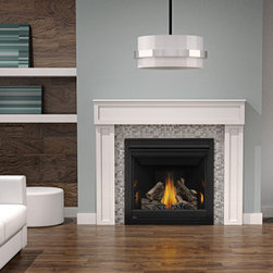 Napoleon Fireplaces - Indoor Fireplaces