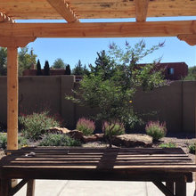 Landscape Ideas