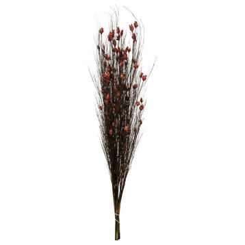 Vickerman 36"-40" Bell Grass with Seed Pods, Preserved