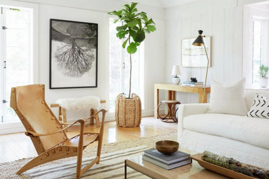Living room - contemporary living room idea in New York