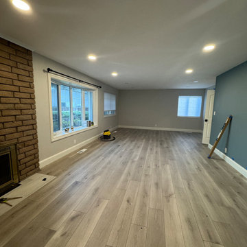 Home Remodel/ One Bath/paint/popcorn removal/LED Can lights/baseboards/Flooring