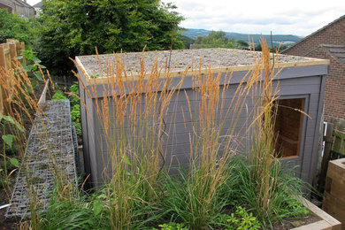 Stipa gigantea and newly made green roof, Burnopfield
