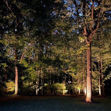 Uplighting