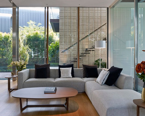 25+ Best Modern Living Room Ideas & Decoration Pictures | Houzz