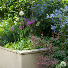 Garten Pflanzen