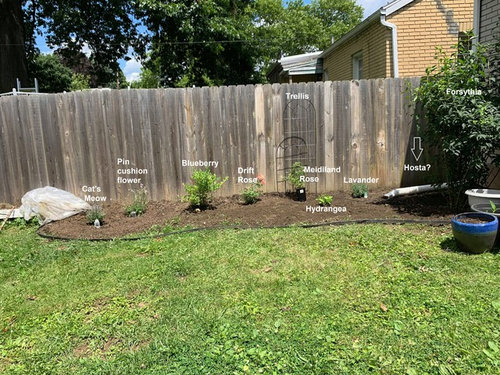 Help with my flower garden