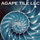 Agape Tile LLC