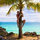 Владислав Арыжаков