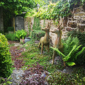 Sally Banks's photo