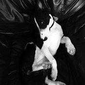 JNine Gordon's photo