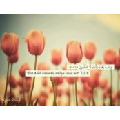 Hala Gaber's photo