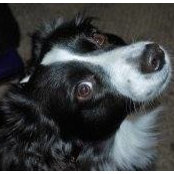 Jude Heupel's photo
