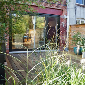 Carroll Gardens Backyard