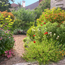 gardening ideas