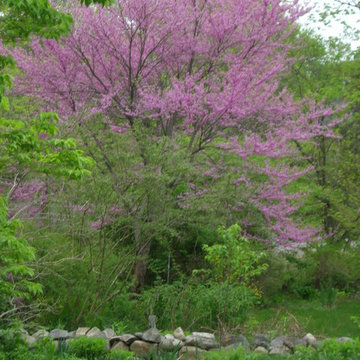 Hingham