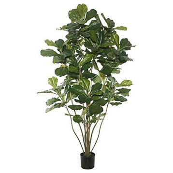 5' Potted Fiddle Tree W/168 Lvs-Green
