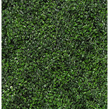 Ranka Lasting Greenery