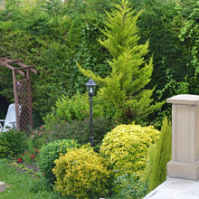 jardins touffus