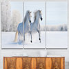 "Two Galloping White Ponies" Photo Canvas Print, 3 Panels, 36"x28"