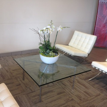 Our Barcelona Chair: Customer Photos