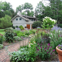 Perennial border garden