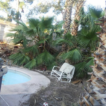 BACKYARD CLEANUP
