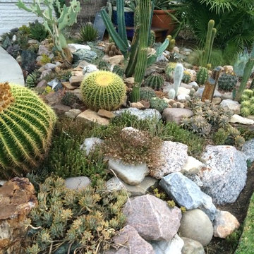 cactus & Succulent Gardens