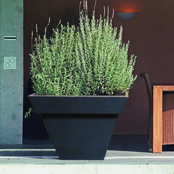 Trento - Products