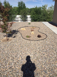 Help w/ Front Yard