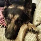 Jessica Rodrick's photo