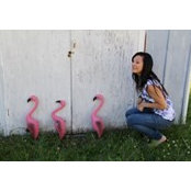 Nadia Funk's photo