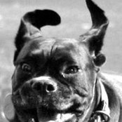 Joseph Jalloway's photo