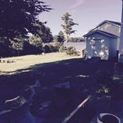 Sheila Mitchell's photo
