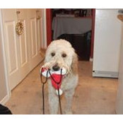 Ramona Strahan's photo