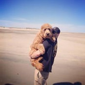 Brendan McLane's photo