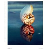 Parco Ascea's photo