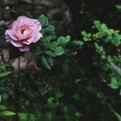 B J's photo