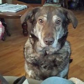 Diane Shutt's photo