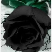 SheRell Hall's photo
